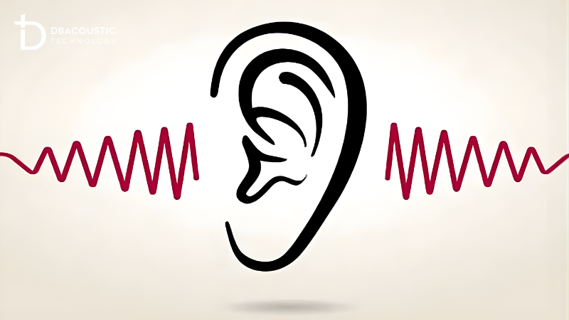 Có nhiều dấu hiệu nhận biết vang số bị ù rè