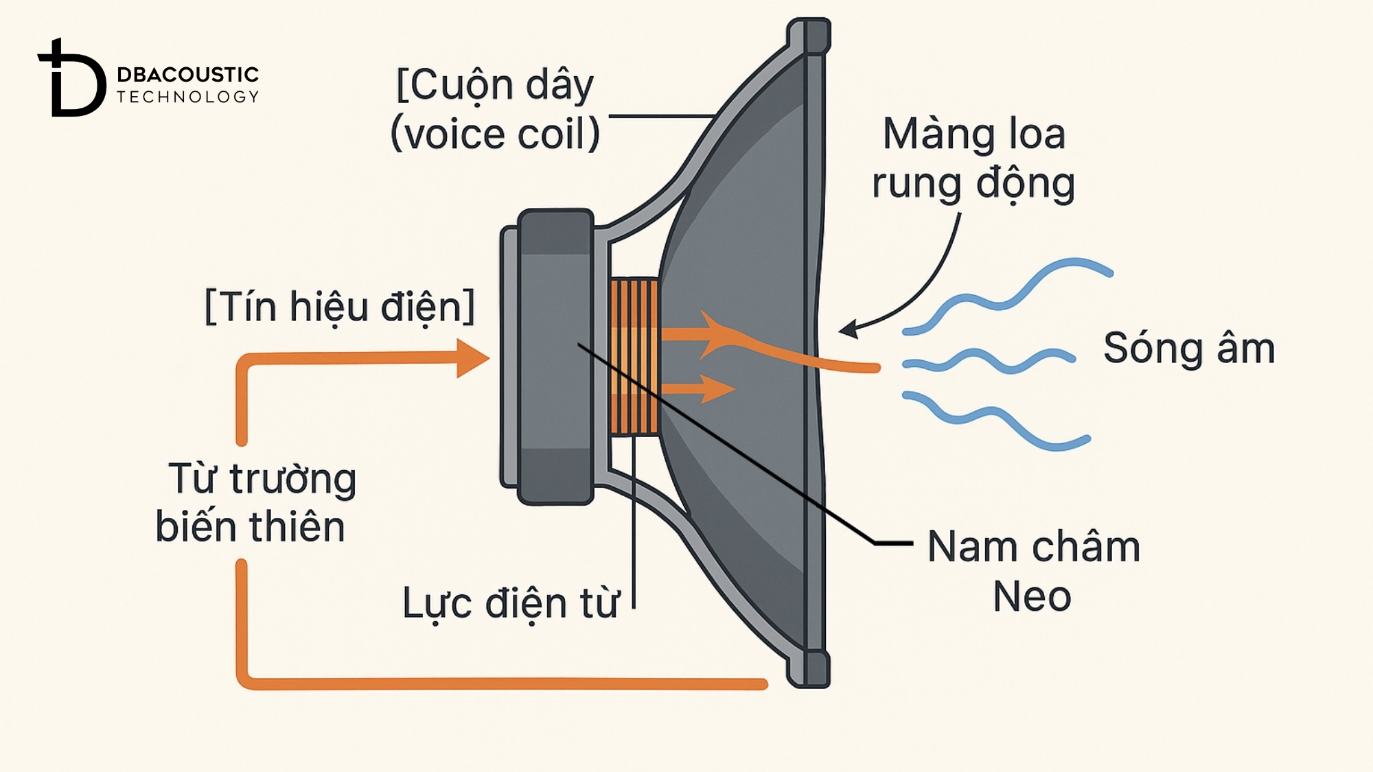 Nguyên lý hoạt động của loa theo quá trình: Điện → Cơ → Âm thanh