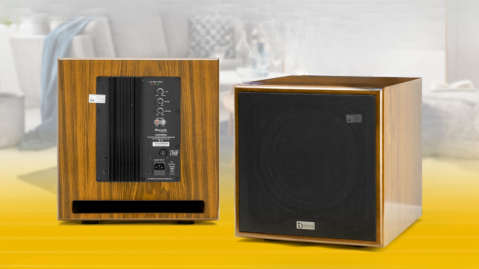 Trong bộ karaoke gia đình 20 triệu, sub KS312SA có nhiệm vụ tái tạo dải âm trầm