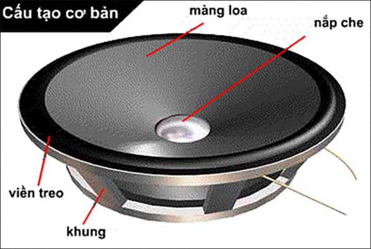 top-5-cu-loa-duoc-su-dung-pho-bien-nhat-hien-nay