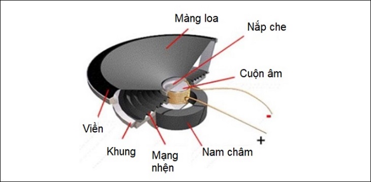 top-5-cu-loa-duoc-su-dung-pho-bien-nhat-hien-nay